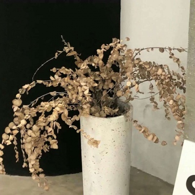 兽设配饰设计灵感合集福瑞交流群